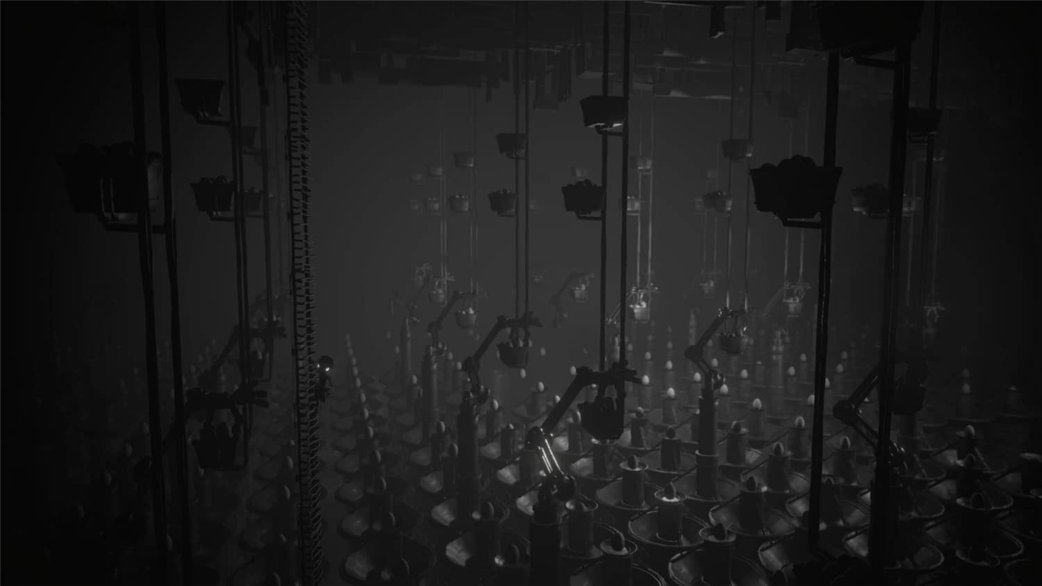 白影/白色阴影/White Shadows