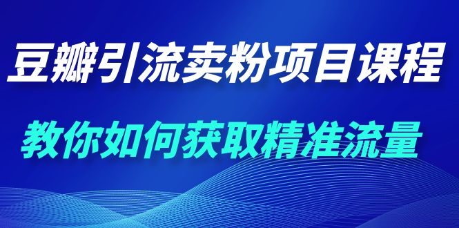 **豆瓣精准流量获取：引流卖粉项目的实践策略**