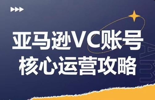 亚马逊VC账号核心玩法解析,实战经验拆解产品模块运营技巧,提升店铺GMV,有效提升运营利润
