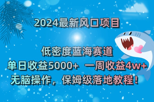 2024最新风口项目 低密度蓝海赛道,日收益5000+周收益4w+ 无脑操作,保…