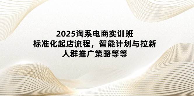 2025淘系电商实训班:标准化起店流程,智能计划与拉新,人群推广策略等等