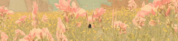 蝶梦/A Butterflys Dream