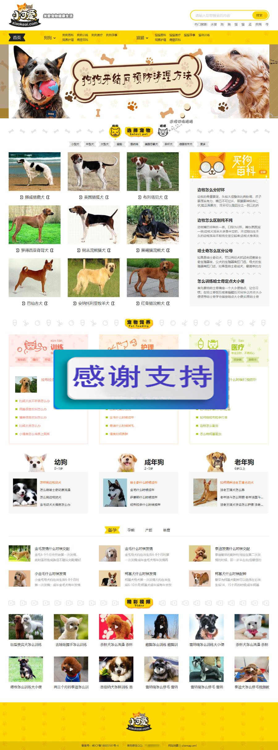 帝国CMS内核仿《小可爱宠物网》宠物资讯平台网站源码完整版+火车头采集+手机版_源码下载