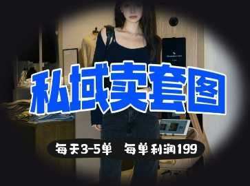 私域卖套图每天3-5单，每单利润99