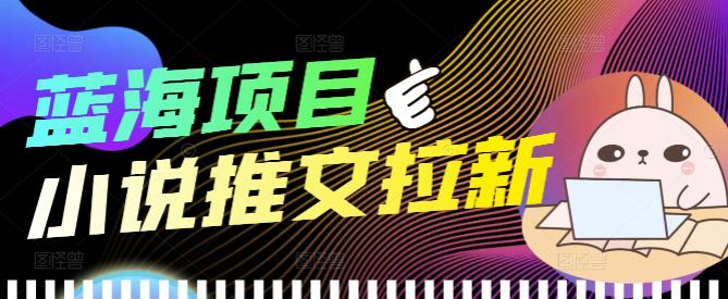 **新标题：小说推文拉新项目的全方位指南，个人工作室批量操作详解**