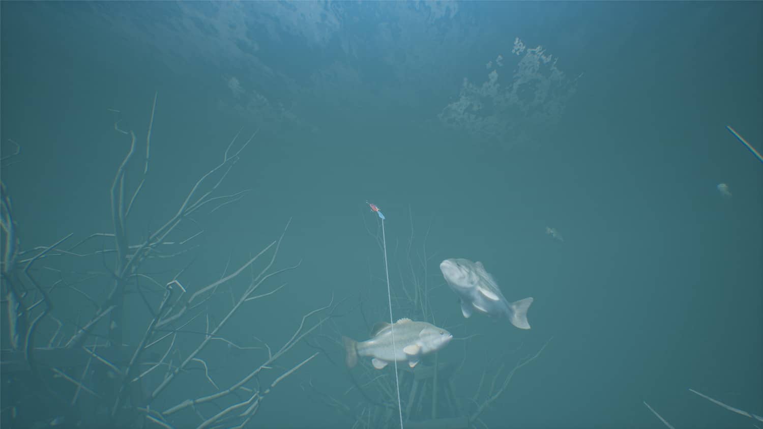 鲈鱼大师赛/Bassmaster Fishing