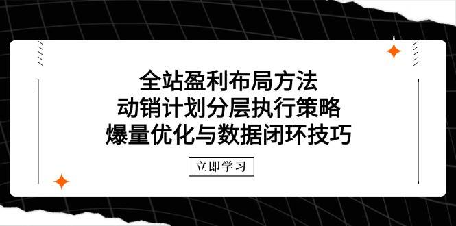 全站盈利布局方法:动销计划分层执行策略,爆量优化与数据闭环技巧