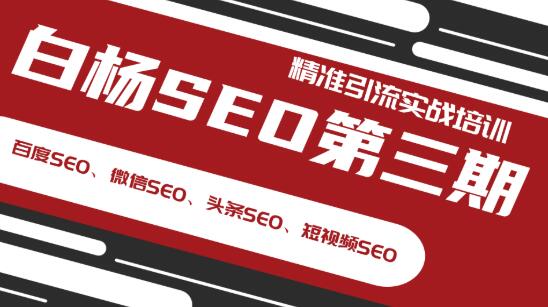 **白杨SEO实战研修：多维流量引导技巧大揭秘**