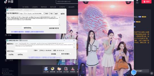 最新电脑版抖音/快手/B站直播源获取+直播间实时录制+直播转播软件+教程