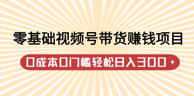 零基础视频号带货赚钱项目，0成本0门槛轻松日入300+视频教程