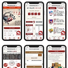 赚钱新项目在线付费起名源码/宝宝起名/八字起名/周易取名/周易八字起名平台网站