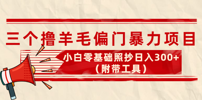[日赚300+！揭秘三个低成本高回报的赚钱项目]
