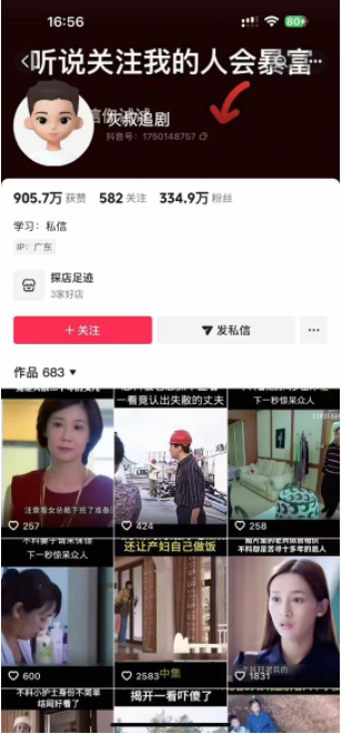 灰叔追剧 ，抖音334w粉丝博主 – 纯手法操作 – 原价1280元【解密】全部课程