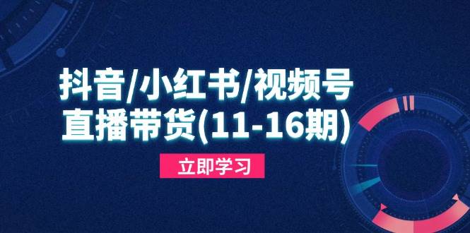 抖音/小红书/视频号/直播带货(11-16期),快速掌握平台规则,打造爆款内容