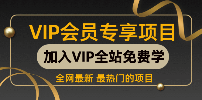 **个人IP魅力塑造：从网红到行业大咖，揭秘持续流量与快速变现的秘诀**