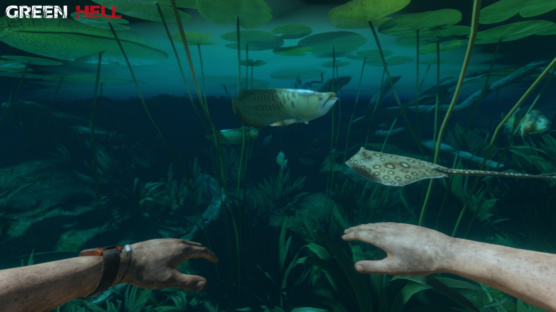 绿色地狱/丛林地狱