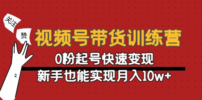 视频号带货训练营:0粉起号快速变现,新手也能实现月入10w+