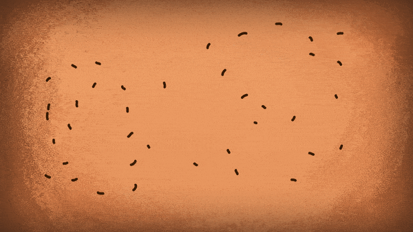 防御纪元/Age of Defense(v0.83) 15 evo1