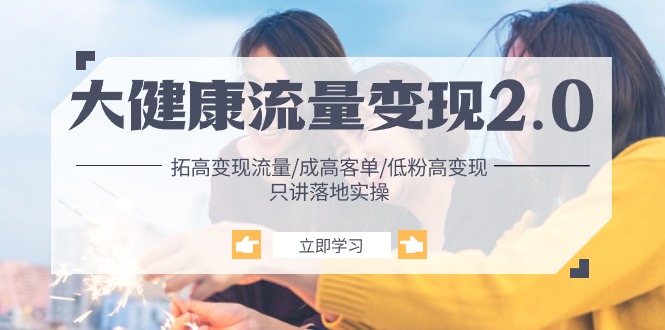 大降 流量 变现2.0：拓高变现 流量/成高客单/低粉高变现/只讲落地实战