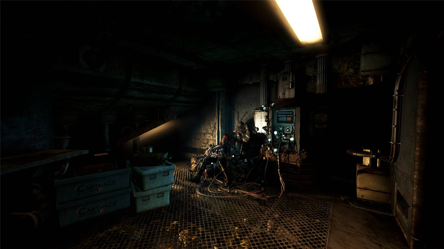 活体脑细胞/SOMA