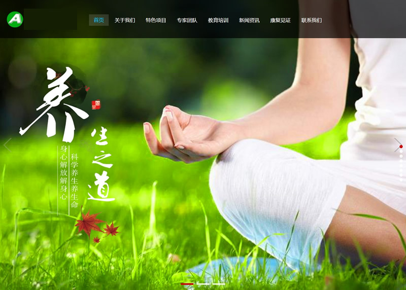 响应式经络养生健康类网站源码 HTML5养生会所机构网站织梦模板