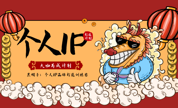 **个人IP魅力塑造：从网红到行业大咖，揭秘持续流量与快速变现的秘诀**